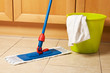 House cleaning with the mop