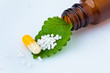 Photo: Homeopathy. Globules as alternative medicine Homeopathy. Globules as alternative medicine