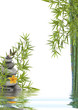 concept nature détente, bien-être, relaxation