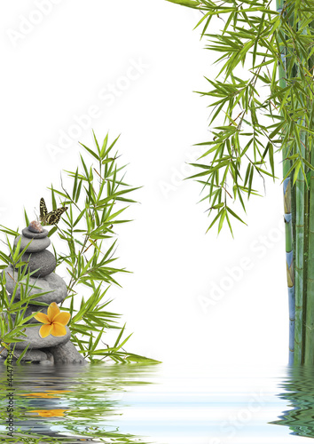 Photo: concept nature détente, bien-être, relaxation concept nature détente, bien-être, relaxation