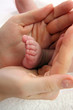 Photo: baby foot baby foot