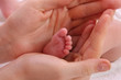 baby foot