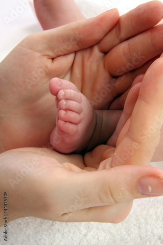 Photo: baby foot baby foot