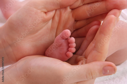 Photo: baby foot baby foot