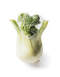 Fennel