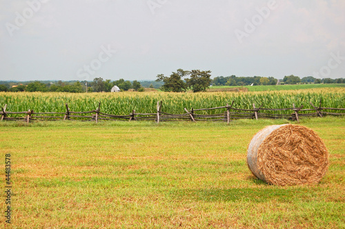 Photo: rural agricultural scene rural agricultural scene