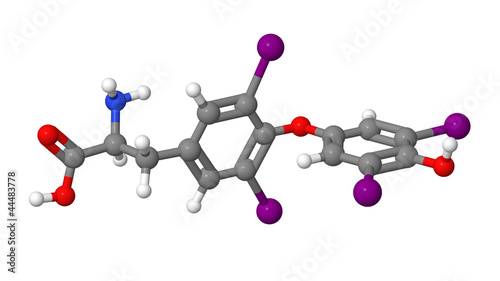 Illustration: Thyroxine (T4) molecular model Thyroxine (T4) molecular model