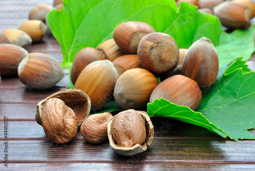 Photo: Nocciole sopra le foglie Nocciole sopra le foglie