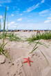 Strand mit Seestern