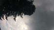Timelapse raindrops falling on window