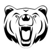 Vector: bear bear
