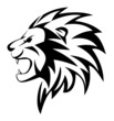 lion roar