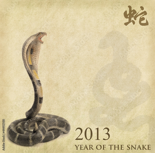 Photo: silhouette of New Year Snake 2013 silhouette of New Year Snake 2013