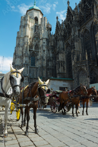 Photo: Horse-drawn Carriage in Vienna Horse-drawn Carriage in Vienna