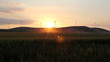Wind Turbines at sunset