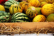 Melons and watermelons