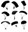 Vector: Big collection of parachutists in flight. Vector illustration Big collection of parachutists in flight. Vector illustration