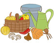 Illustration of garden tools and harvest basket