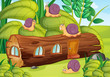 snails and house