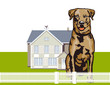 Aufmerksamer Wachhund