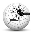 Spinne, Kugel, 3D, Halloween, Spinnennetz, Netz, Spider, Angst