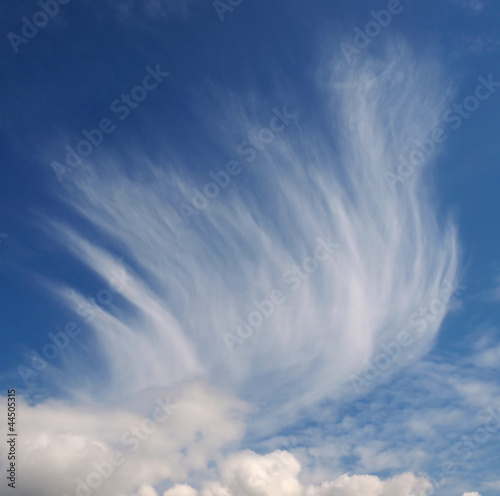 Photo: Mares tail clouds Mares tail clouds