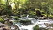 Video: vidéo petite cascade 02 vidéo petite cascade 02