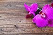 Orchidee auf Holzuntergrund