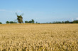 Old windmill in a wheat field