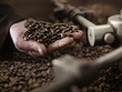 Foto: Hand holding coffee beans over roasting machine Hand holding coffee beans over roasting machine