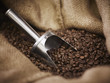 Burlap sack with scoop and coffee beans