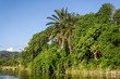 Foto : Lush tropical vegetation Lush tropical vegetation