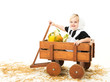 Foto: cute little pilgrim girl in a wagon full of Fall vegetables cute little pilgrim girl in a wagon full of Fall vegetables