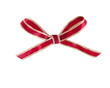 Beautiful gift bow