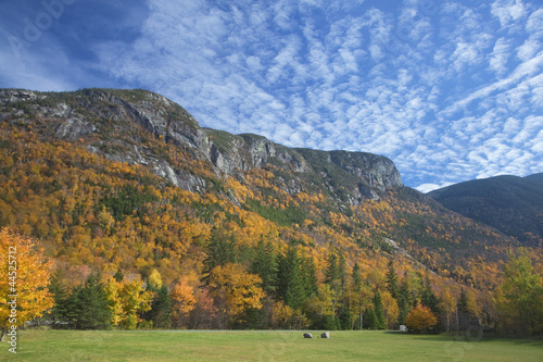 Photo: Autumn leaves on trees along mountain Autumn leaves on trees along mountain