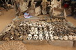 Monkey skull on voodoo fetish market, Togo, Africa