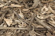 Voodoo Bones and Horns Fetish Market in Togo, Africa