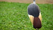 Video: Beautiful bird with crest, African Grey Crowned Crane Beautiful bird with crest, African Grey Crowned Crane