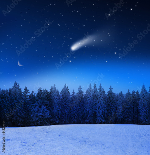 Photo: Sternehimmel über Winterwald Sternehimmel über Winterwald