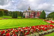 Adare gardens and castle in red ivy in Ireland