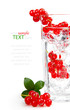 cocktail with ice and berry, isolated on white background