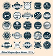 Vector Set: Mixed Sport Labels and Icons
