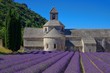 Senanque 10