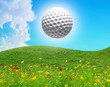 golf ball in the air on a sunny day