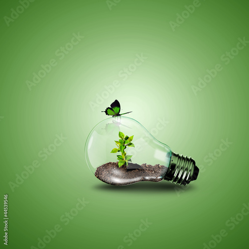 Illustration: Electric light bulb and a plant inside it Electric light bulb and a plant inside it