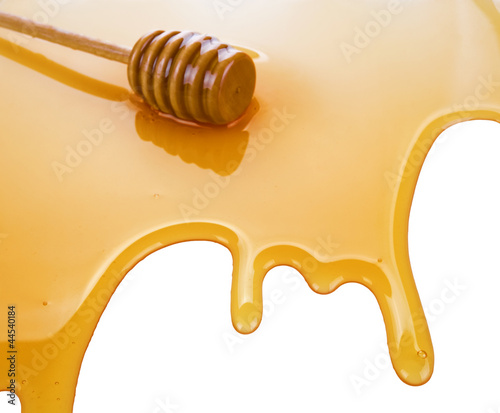 Photo: puddle of honey puddle of honey