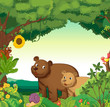 Animals in the forest