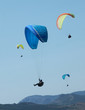 paragliding in the blue sky