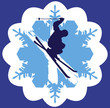 Snow flake