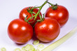 Strauchtomaten